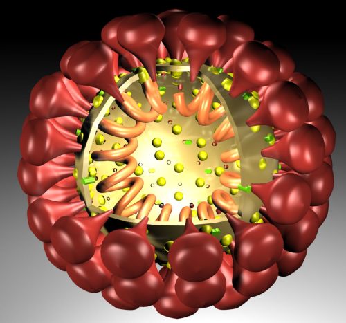 Darstellung eines Coronavirus